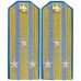 Авиация ВМФ СССР. Старший офицерский состав, погоны обр.1943 г.